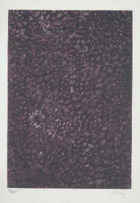 Bild Nr.18: 142-1741 Cassou,J.: (Miro, Poliakoff)