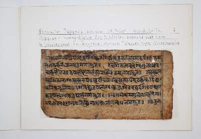 Bild Nr.1: 142-181 Persischer Papyrus: (Handschriften)