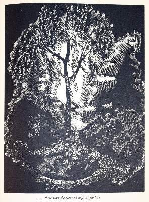 Bild Nr.3: 142-1812 Scougall,S. u. F.Holford.: (Literatur und illustrierte Bücher 20.Jahrhundert - Alte Literatur in modernen Ausgaben)