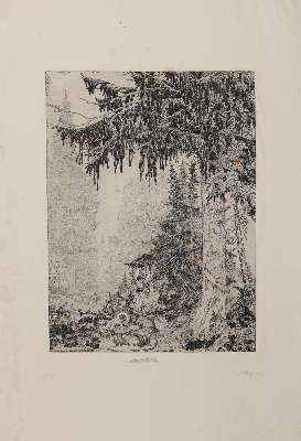 Bild Nr.2: 142-1820 Staeger,F.: (Literatur und illustrierte Bücher 20.Jahrhundert - Alte Literatur in modernen Ausgaben)