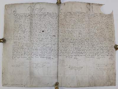 Bild Nr.2: 142-185 Römische Kurie.: (Handschriften)
