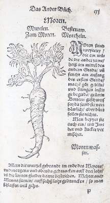Bild Nr.27: 142-1871 Ryff,W.H. (Pseud. Q.Apollinaris).: (Botanik, Kräuterbücher)