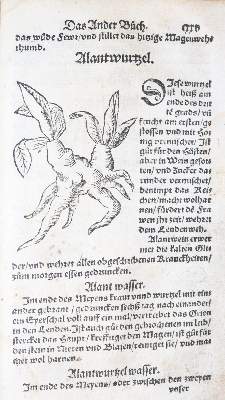 Bild Nr.29: 142-1871 Ryff,W.H. (Pseud. Q.Apollinaris).: (Botanik, Kräuterbücher)