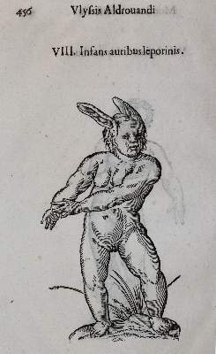 Bild Nr.1: 142-1879 Aldrovandi,U.: (Medizin)