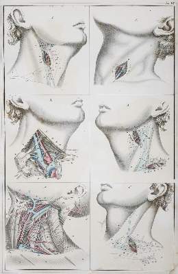 Bild Nr.3: 142-1888 Blasius,E.: (Medizin)