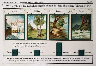 Bild Nr.2: 142-1916 Langstein,L. u. F.Rott.: (Medizin)