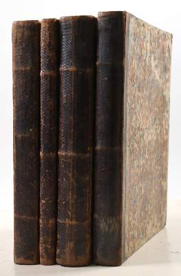 Bild Nr.10: 142-1979 Esper,E.J.C.: (Zoologie, Insekten, Schmetterlinge)
