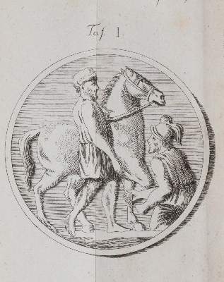 Bild Nr.2: 142-1985 Heubel,F.E.H.: (Zoologie, Pferde)