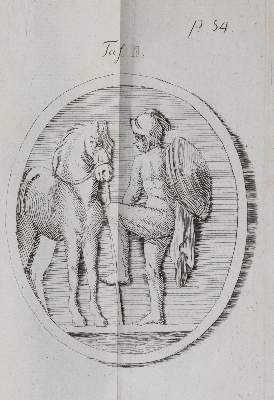 Bild Nr.3: 142-1985 Heubel,F.E.H.: (Zoologie, Pferde)