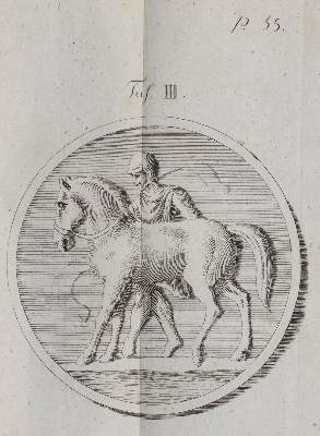 Bild Nr.4: 142-1985 Heubel,F.E.H.: (Zoologie, Pferde)