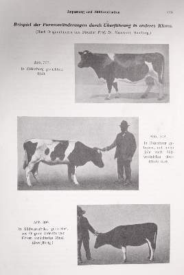 Bild Nr.1: 142-1990 Stang, V. und D. Wirth (Hrsg.).: (Zoologie)