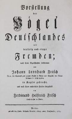 Bild Nr.24: 142-1999 Frisch,J.L.: (Zoologie, Vögel)