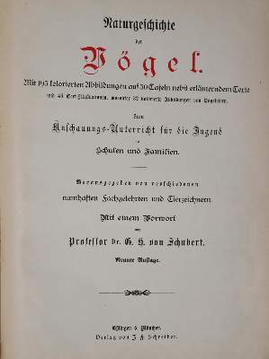 Bild Nr.6: 142-2004 Meerwarth,H. u. K.Soffel.: (Zoologie, Vögel)