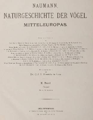 Bild Nr.1: 142-2006 Naumann,(J.A.).: (Zoologie, Vögel)