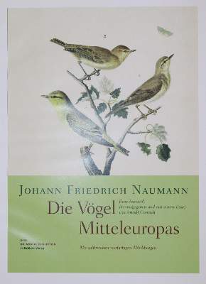 Bild Nr.3: 142-2007 Naumann,J.F.: (Zoologie, Vögel)