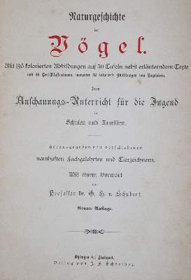 Bild Nr.4: 142-2010 Ornithologie.: (Zoologie, Vögel)