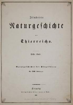 Bild Nr.1: 142-2012 (Pöppig,E.).: (Zoologie, Vögel)