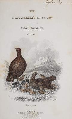 Bild Nr.1: 142-2014 Sammlung: (Zoologie, Vögel)