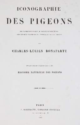 Bild Nr.9: 142-2020 Bonaparte,C.-L.: (Zoologie, Vögel, Tauben)