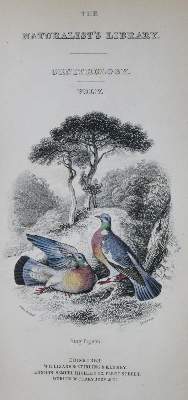 Bild Nr.2: 142-2023 Eaton,J.M.: (Zoologie, Vögel, Tauben)
