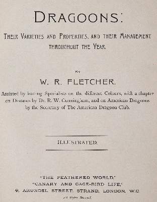 Bild Nr.1: 142-2025 Fletcher,W.R.: (Zoologie, Vögel, Tauben)