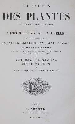 Bild Nr.1: 142-2026 Fulton,R.: (Zoologie, Vögel, Tauben)