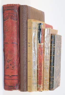 Bild Nr.3: 142-2028 Fulton,R.: (Zoologie, Vögel, Tauben)