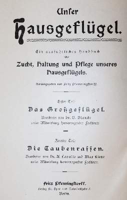 Bild Nr.1: 142-2032 Lavalle,A. u. M.Lietze.: (Zoologie, Vögel, Tauben)
