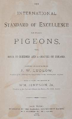 Bild Nr.1: 142-2034 Ludlow,J.W.: (Zoologie, Vögel, Tauben)