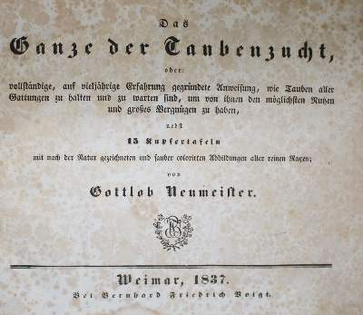 Bild Nr.1: 142-2040 Neumeister,G.: (Zoologie, Vögel, Tauben)