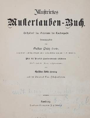 Bild Nr.3: 142-2041 Prütz,G.: (Zoologie, Vögel, Tauben)