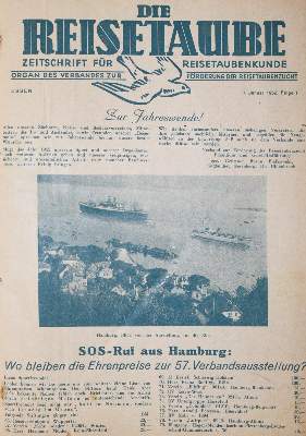 Bild Nr.1: 142-2043 Reisetaube, Die.: (Zoologie, Vögel, Tauben)