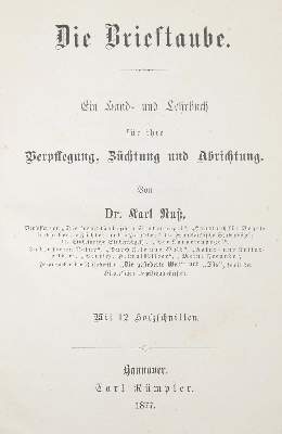 Bild Nr.2: 142-2045 Ruß,K.: (Zoologie, Vögel, Tauben)
