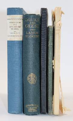 Bild Nr.2: 142-2049 Sammlung: (Zoologie, Vögel, Tauben)