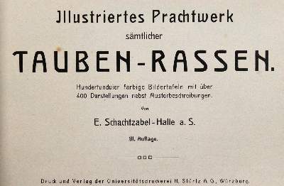 Bild Nr.1: 142-2050 Sammlung: (Zoologie, Vögel, Tauben)