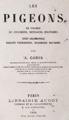 Bild Nr.1: 142-2051 Sammlung: (Zoologie, Vögel, Tauben)