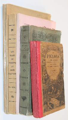 Bild Nr.5: 142-2051 Sammlung: (Zoologie, Vögel, Tauben)