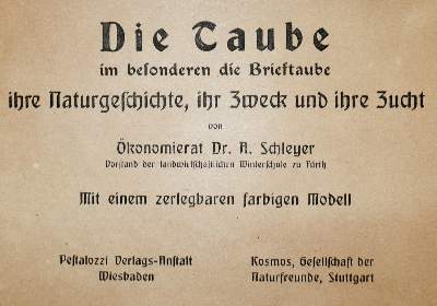 Bild Nr.1: 142-2055 Schleyer,A.: (Zoologie, Vögel, Tauben)