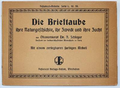 Bild Nr.4: 142-2055 Schleyer,A.: (Zoologie, Vögel, Tauben)