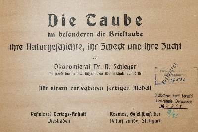 Bild Nr.1: 142-2056 Schleyer,A.: (Zoologie, Vögel, Tauben)