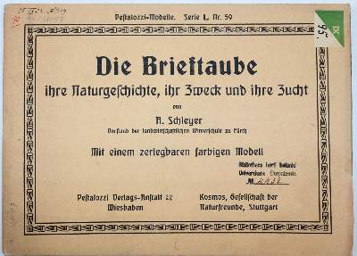 Bild Nr.4: 142-2056 Schleyer,A.: (Zoologie, Vögel, Tauben)
