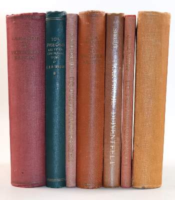 Bild Nr.3: 142-2058 Spruijt,C.A.M.: (Zoologie, Vögel, Tauben)