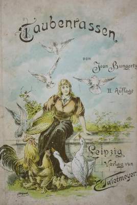 Bild Nr.3: 142-2061 Treitschke,F.: (Zoologie, Vögel, Tauben)
