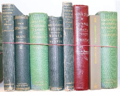 Bild Nr.2: 142-2093 Darwin,C.: (Verschiedene Gebiete - Varia)