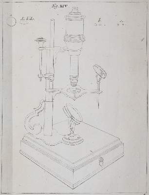 Bild Nr.26: 142-2119 Ledermüller,M.F.: (Verschiedene Gebiete - Varia)
