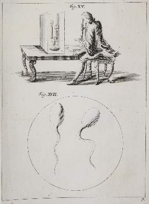 Bild Nr.27: 142-2119 Ledermüller,M.F.: (Verschiedene Gebiete - Varia)