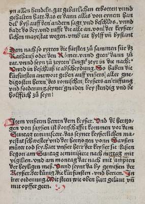 Bild Nr.2: 142-215 (Maximilian I.: (Inkunabeln, Königswahl)