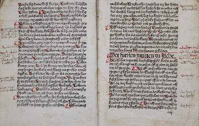 Bild Nr.22: 142-216 (Maximilian I.: (Inkunabeln, Königskrönung)