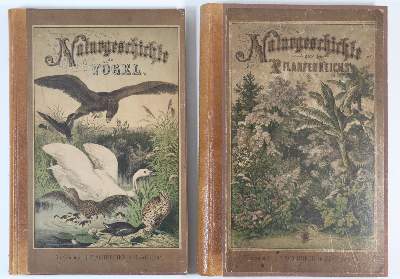 Bild Nr.3: 142-2183 Schubert, G. H. v.: (Verschiedene Gebiete - Varia)