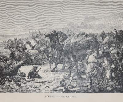 Bild Nr.3: 142-2212 Ebers,G.: (Afrika, Ägypten)